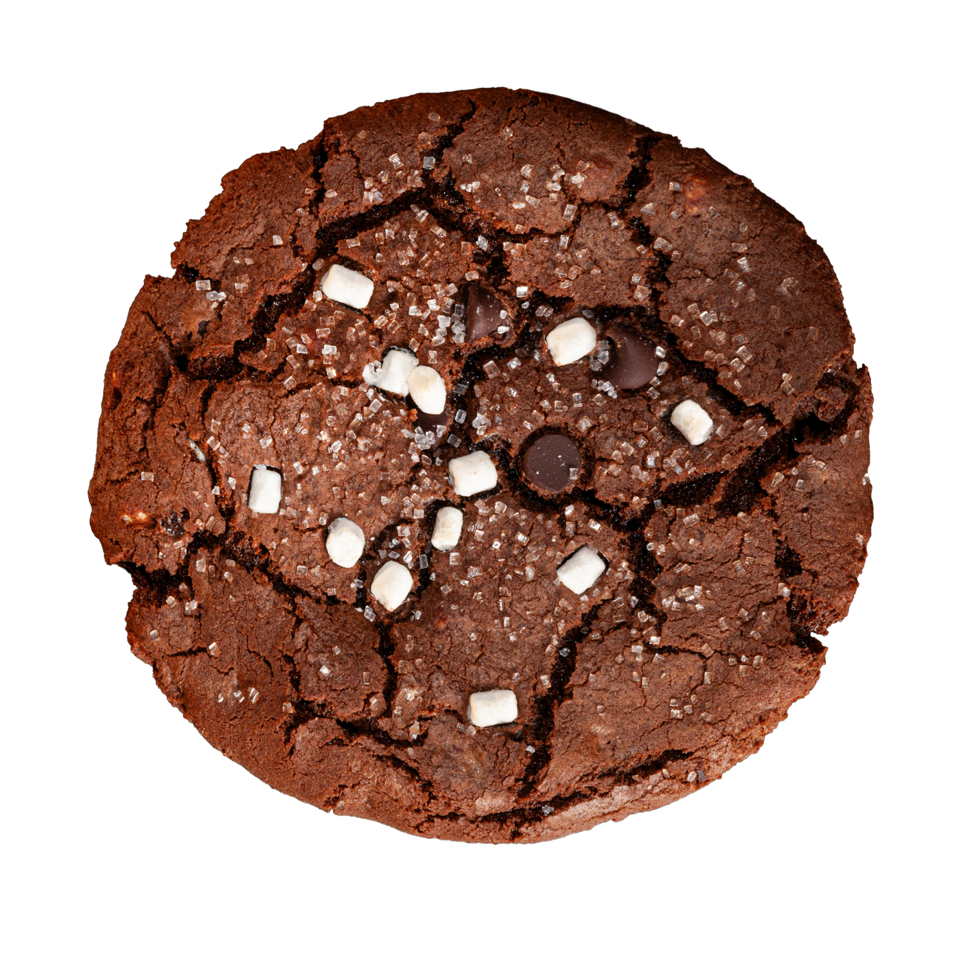 Hot Cocoa Cookie