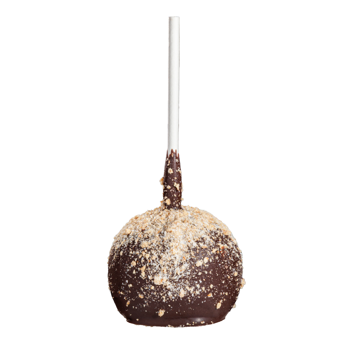 S'mores Cake Pop